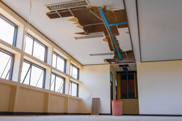 Best Sewage cleanup and water damage restoration  in Medford, NY