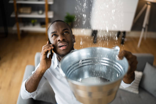 Best Residential water damage restoration  in Medford, NY