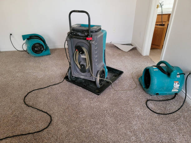 Best Professional water damage repair  in Medford, NY