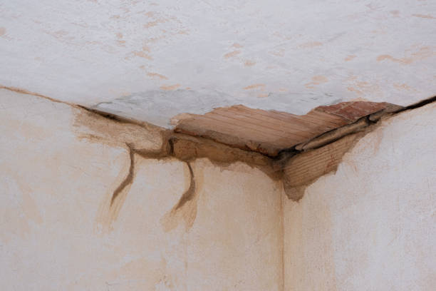 Best Flooded house restoration  in Medford, NY