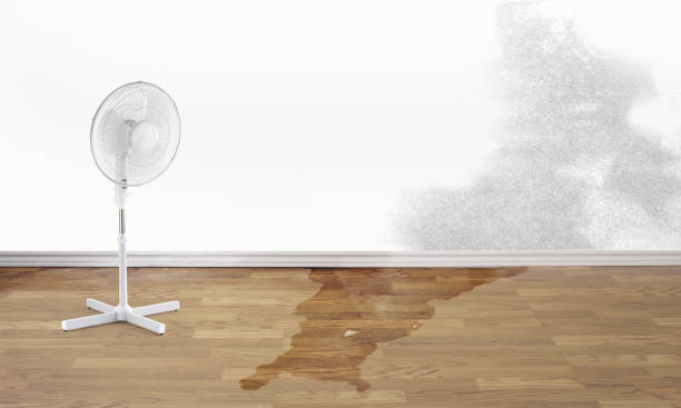 Medford, NY Water damage restoration Company