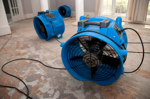 Reliable Medford, NY Water damage restoration Solutions