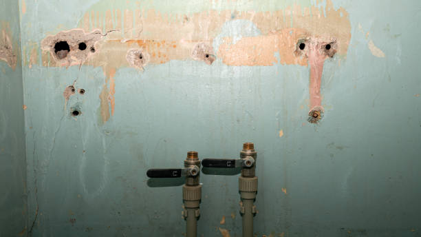 Best Residential water damage restoration  in Medford, NY