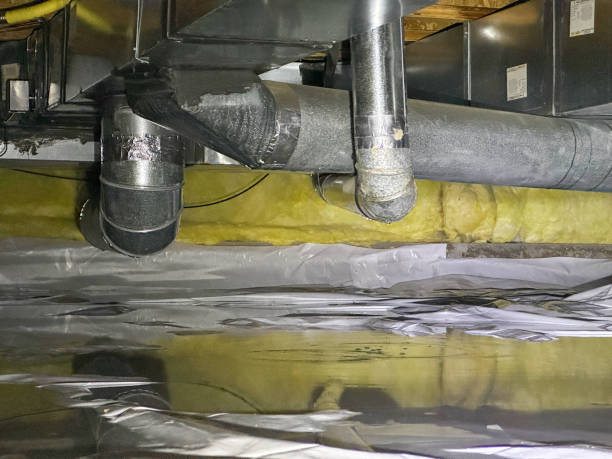 Best Water damage repair service  in Medford, NY