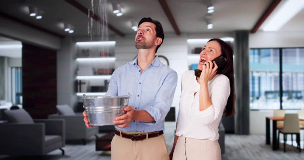 Best Water damage cleanup near me  in Medford, NY